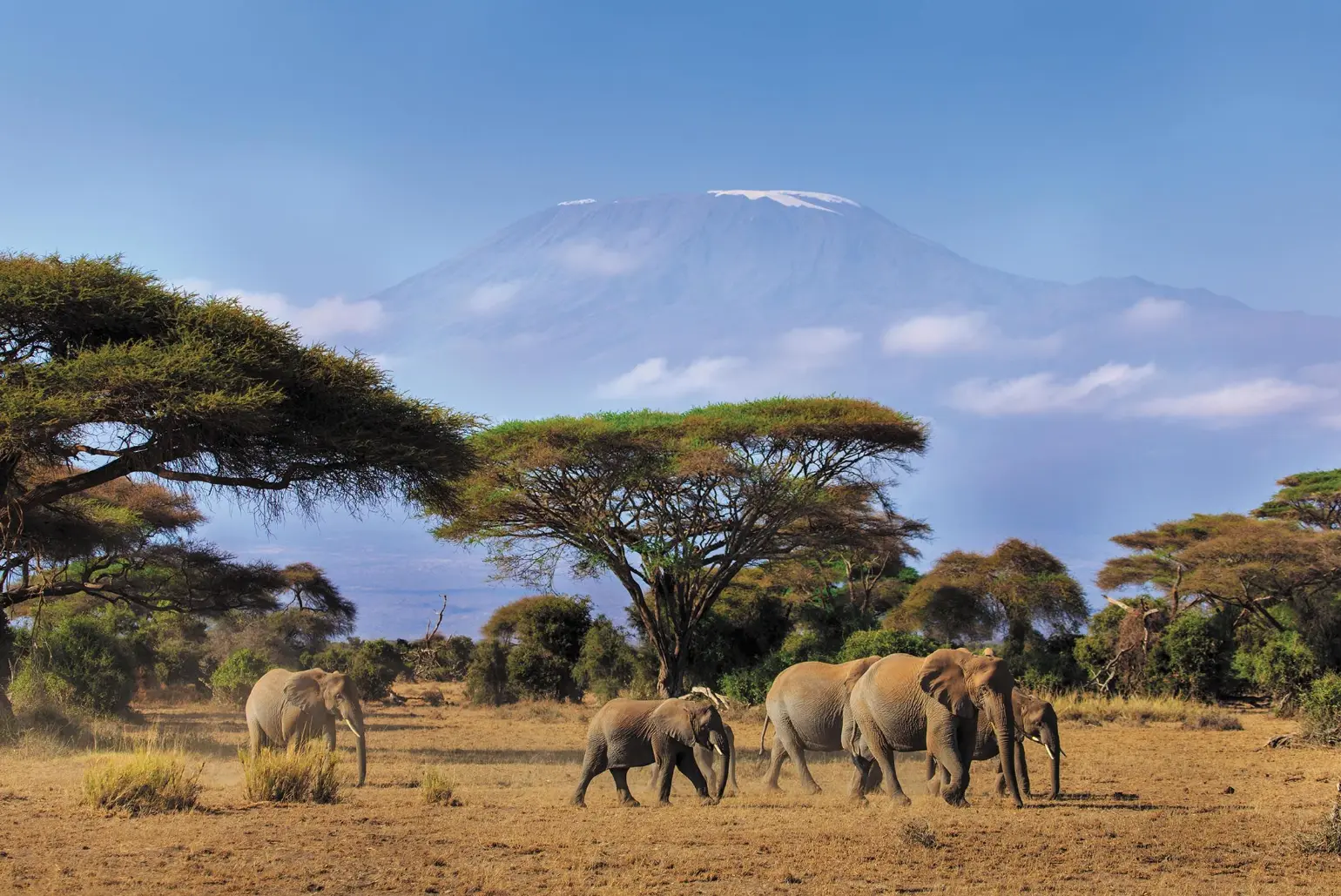 safari-to-kilimanjaro-machame-route-1144193-1740732721